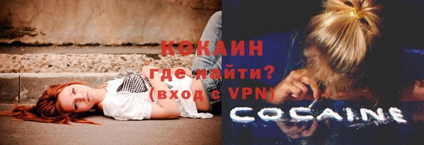 мяу мяу мука Белокуриха