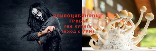 мяу мяу мука Белокуриха