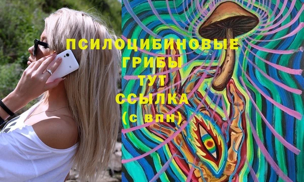 мяу мяу мука Белокуриха