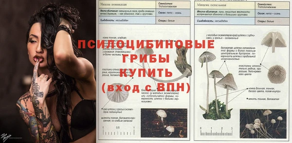 мяу мяу мука Белокуриха