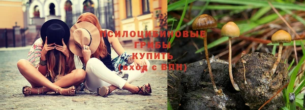 мяу мяу мука Белокуриха