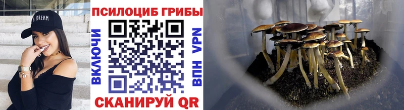 Псилоцибиновые грибы Psilocybine cubensis  что такое наркотик  Циолковский 