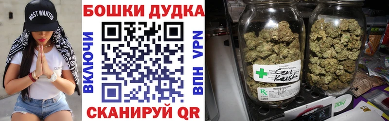 где купить наркоту  Циолковский  Канабис планчик 